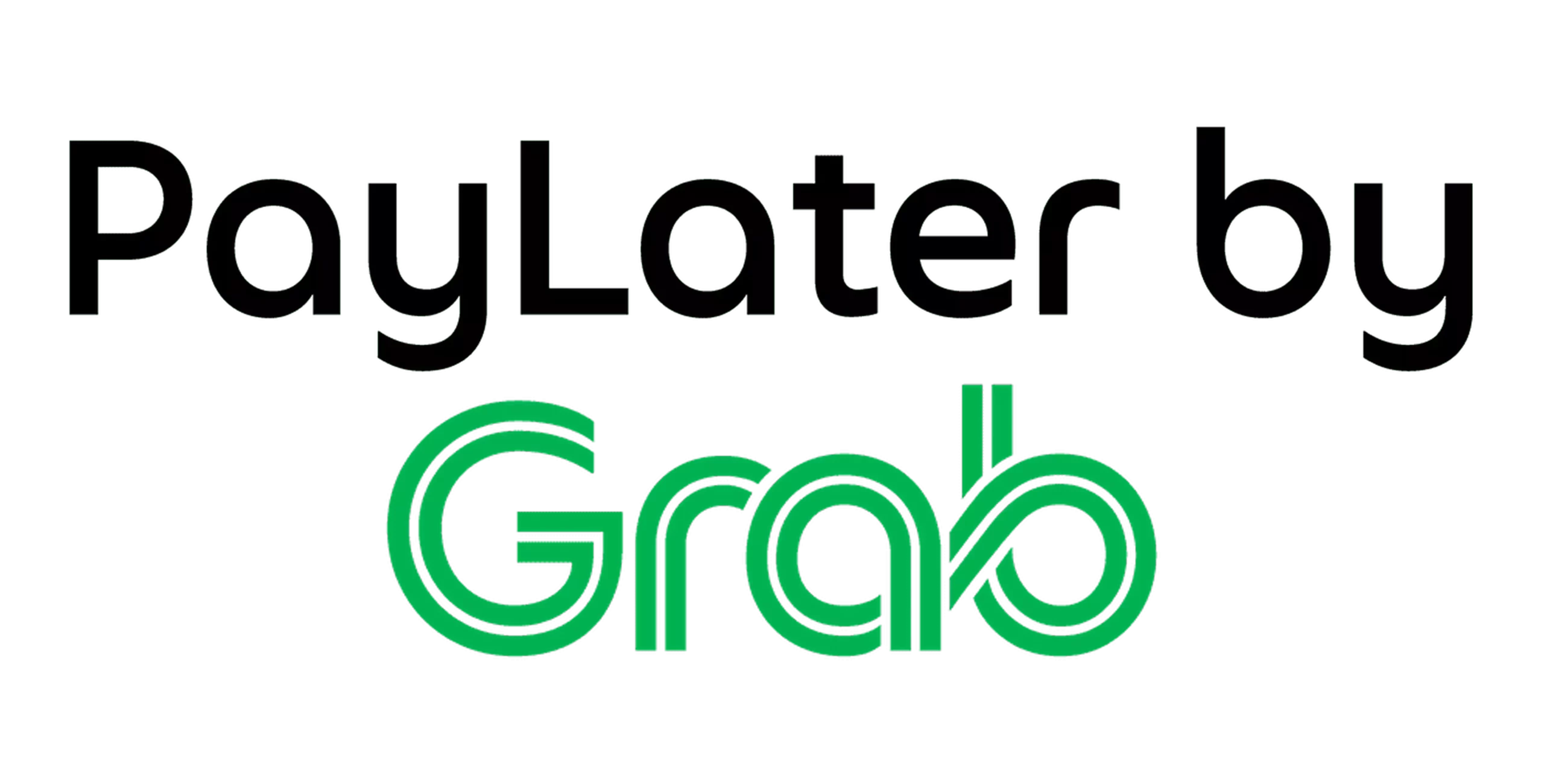 grab paylater payment icon