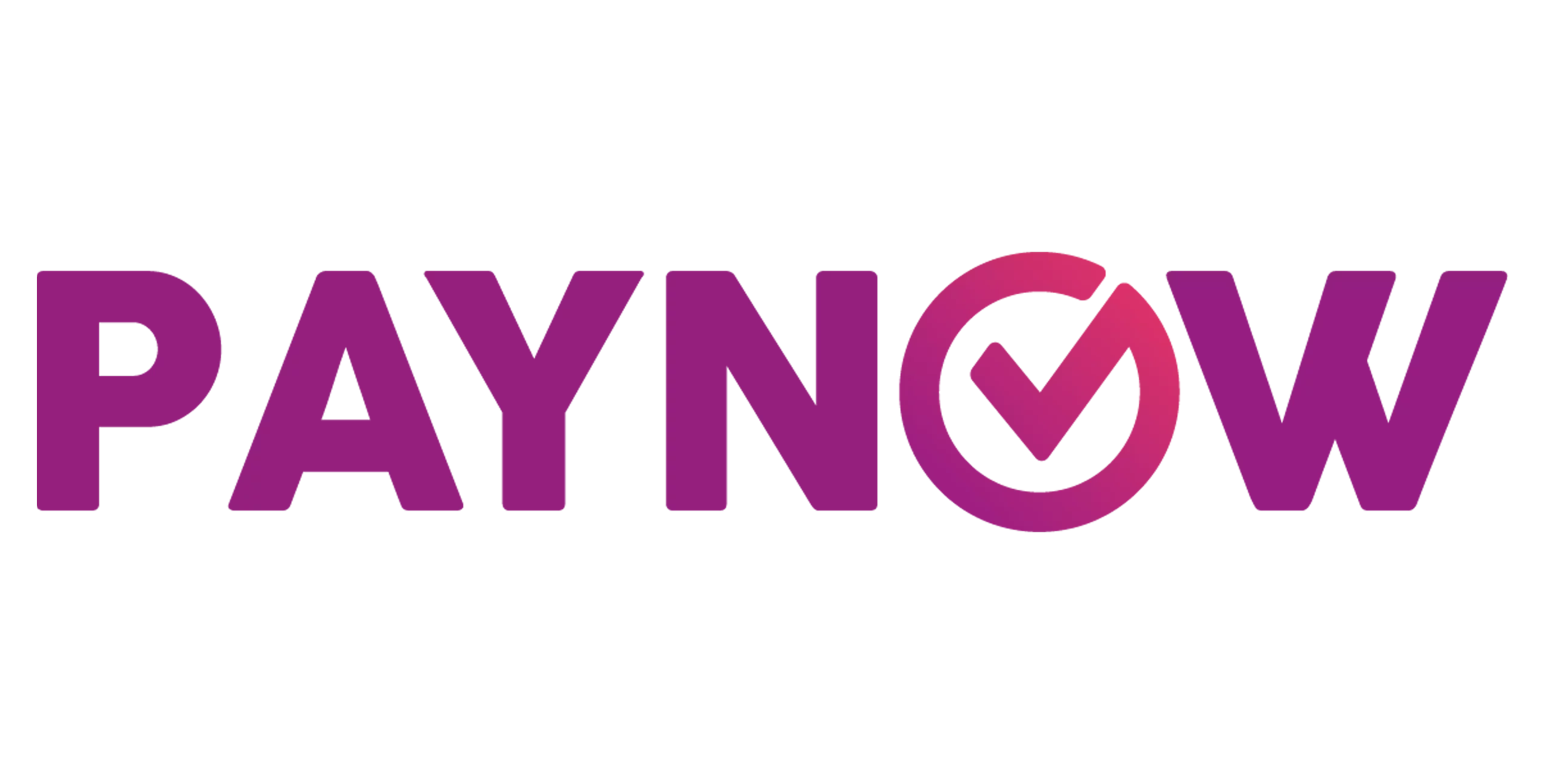 paynow payment icon